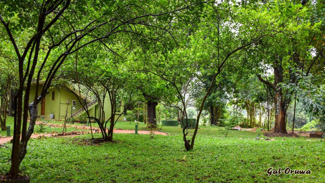 Gal Oruwa Resort ดัมบูลลา ภายนอก รูปภาพ