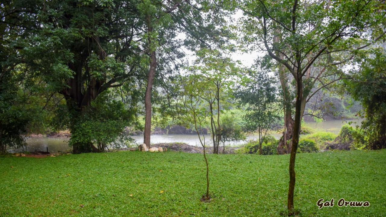 Gal Oruwa Resort ดัมบูลลา ภายนอก รูปภาพ